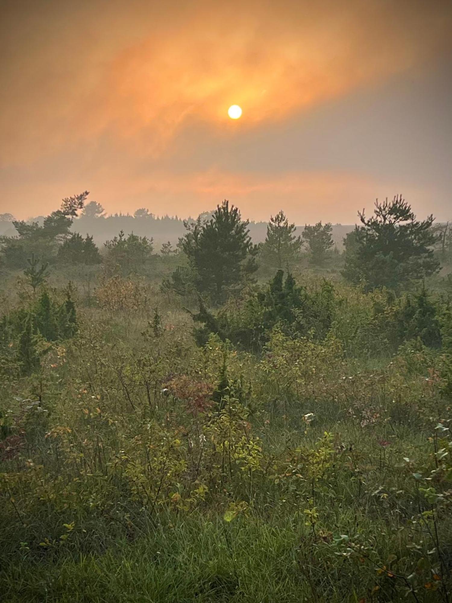 Kivika Villa Lahe Bagian luar foto